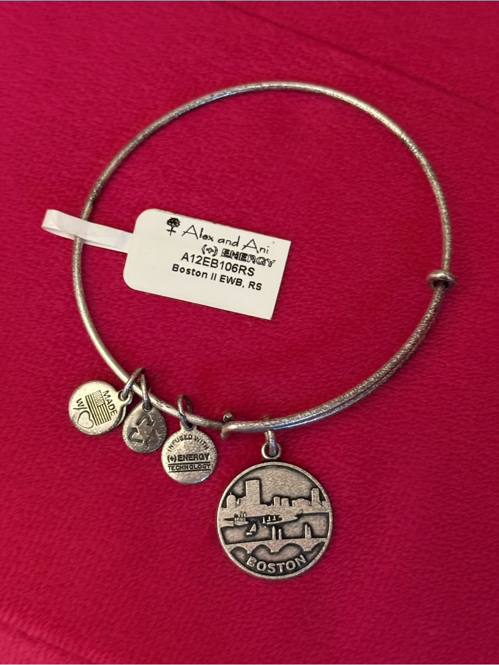 ⭐️NWT ALEX AND ANI BOSTON BRACELET⭐️